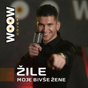 Moje bivse zene (Cover)