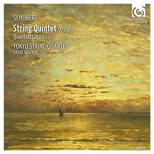String Quintet in C Major, Op. 163 D. 956: I. Allegro ma non troppo
