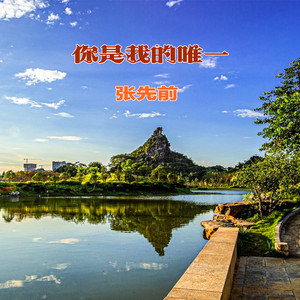 你是我的唯一