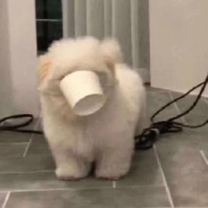 我一点都不想你