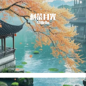 剩菜月光
