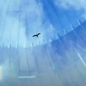 un nuevo amanecer (ASHLEY/ELPADRINO)