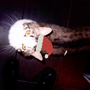 (There's No Place Like) Home for the Holidays