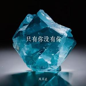 只有你没有你