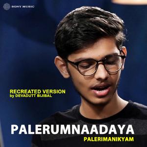 Palerumnaadaya (Cover Version)
