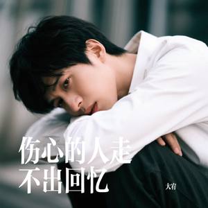 伤心的人走不出回忆