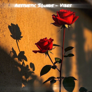 Aesthetic Sounds - Vibes