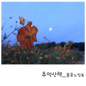 추억산책