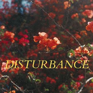 Disturbance