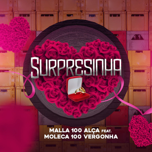 Surpresinha (feat. Moleca 100 Vergonha)