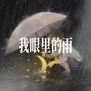 我眼里的雨(已淋不到你) - 男声
