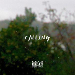 CALLING (feat. Bailey Daniel)