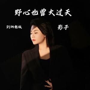 野心也曾大过天 (DJ阿能版)