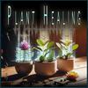 Plant Music - Wellness Music for Gardens