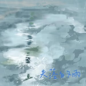 失落的雨