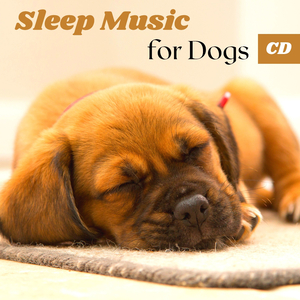 Sleep Music for Dogs