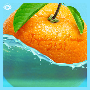 Jockey (feat. Ein Schritt)