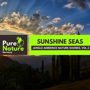 Eerie Calls of Owl in the Night