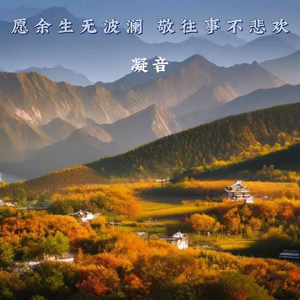 愿余生无波澜 敬往事不悲欢 伴奏