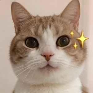 多幸运今生遇见了你