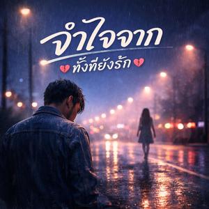 จำใจจาก ทั้งที่ยังรัก