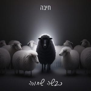 כבשה שחורה | Black Sheep