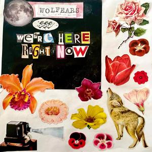 intro (we're here right now)