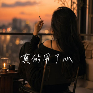 真的用了心(我终于鼓起勇气)
