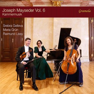 Piano Trio No. 1 in B-Flat Major, Op. 34: III. Rondo. Moderato