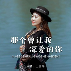 那个曾经让我深爱的你 (DJ默涵版)