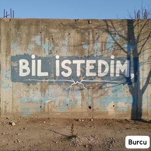 Bil istedim