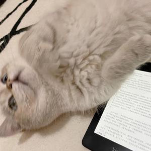 我喜欢你胜过削好的水果周末的零食肆无忌惮的赖床和空调房里盖棉被的感觉但我就是不敢告诉你