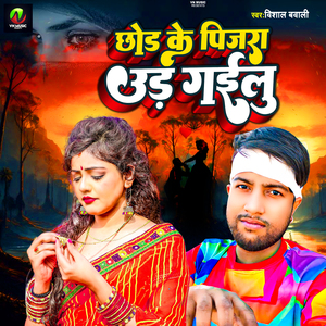 Chhod Ke Pinjra Ud Gailu