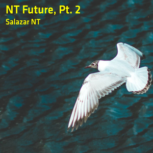 NT Future, Pt. 2