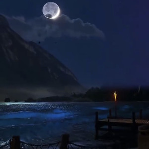 玫瑰少年钢琴版（立体环绕0.8x）