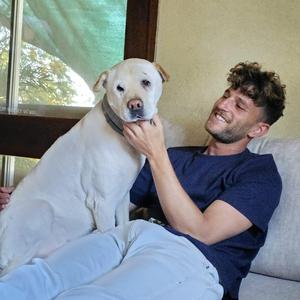 איש החלומות