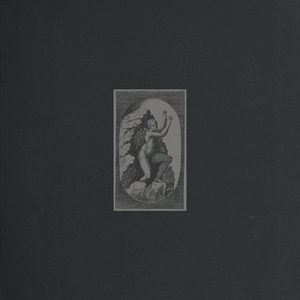 Оказалось я кричу один