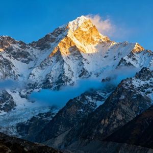 Himalayan