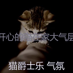 抚慰的猫在家回忆