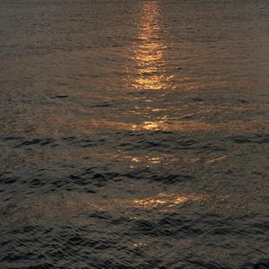 想你和我们以后（Cover：苏运莹）