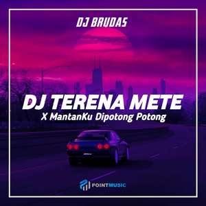 DJ Terena Mete X Mantanku Dipotong Potong - Inst
