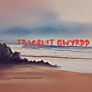 Tracsuit Gwyrdd