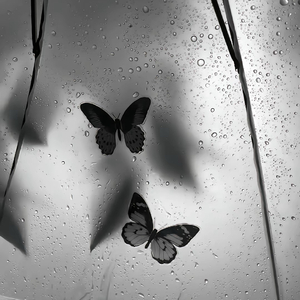 SDJZU cypher Y-iioo vers