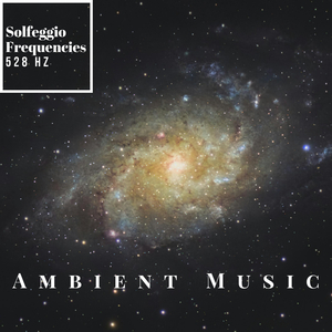 The Loopable Mind Relief and Success Music