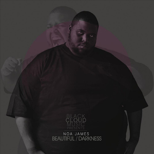 Bruce Lee Roy Steez (feat The Magnificent Ruffians & Faimkills)