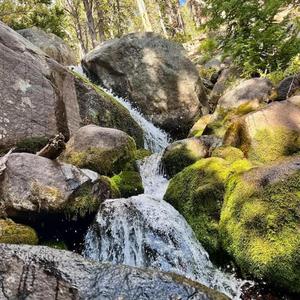 Public Lands
