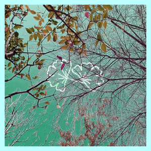 一枯梦(original mix)