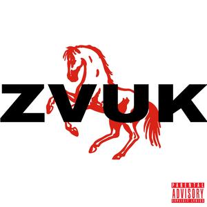 ZVUK (feat. RalisBeatz)