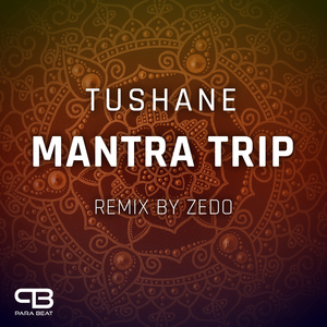 Mantra Trip (ZEDO Remix)