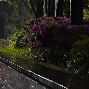 是我最爱的章节